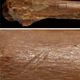 Imagen para el artículo titulado Un nuevo descubrimiento reescribe por completo lo que sabemos sobre el origen de la humanidad